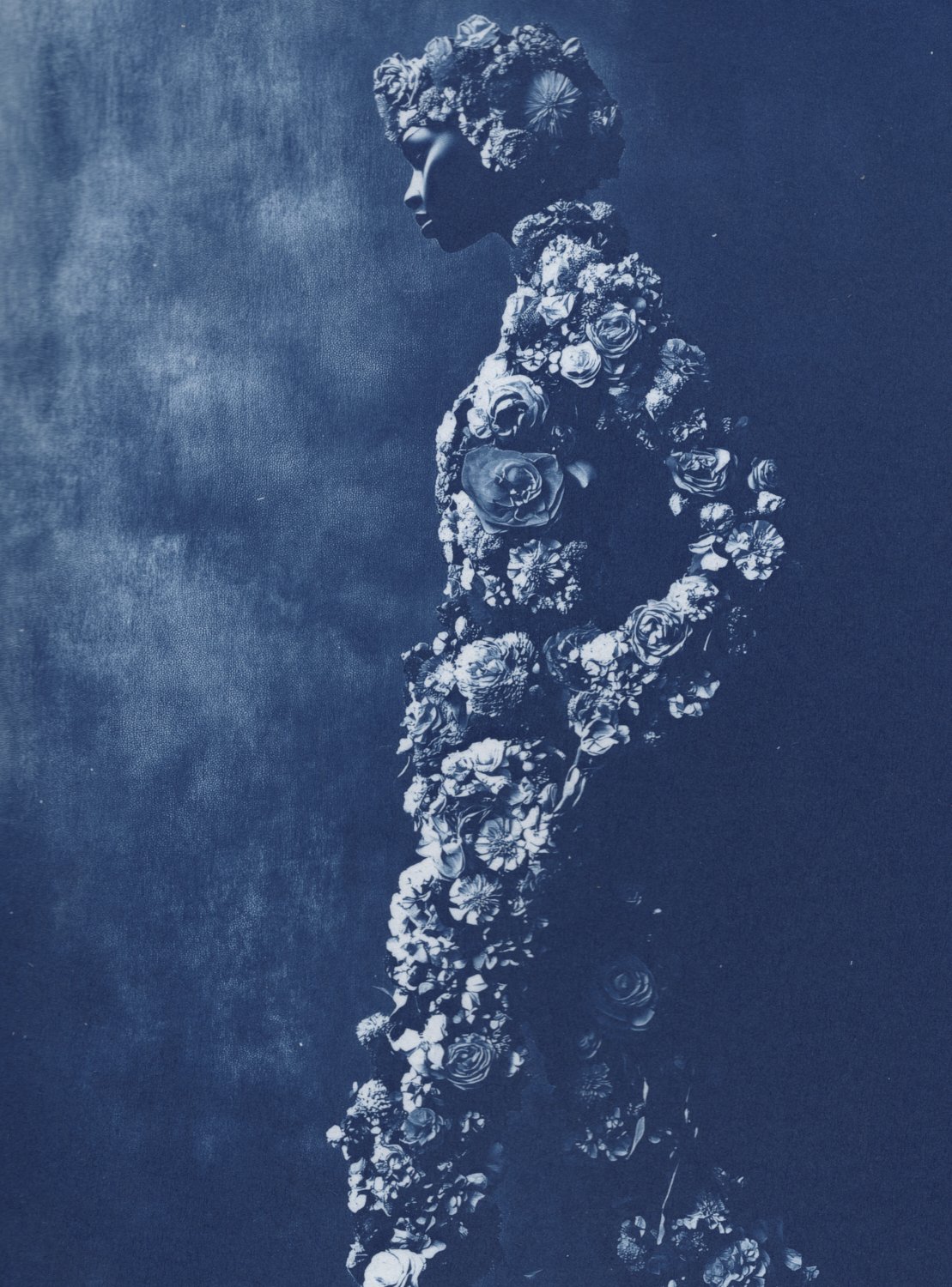 Ai + cyanotype